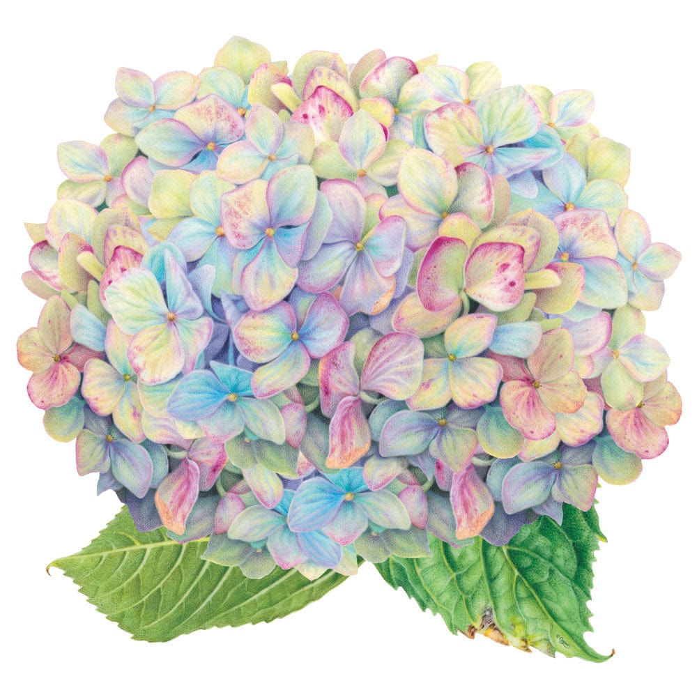 Blooming Hydrangea Die-Cut Placemats - 4 Each