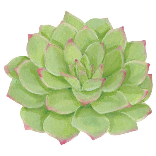 Succulents Die-Cut Placemat - 4 Per Package