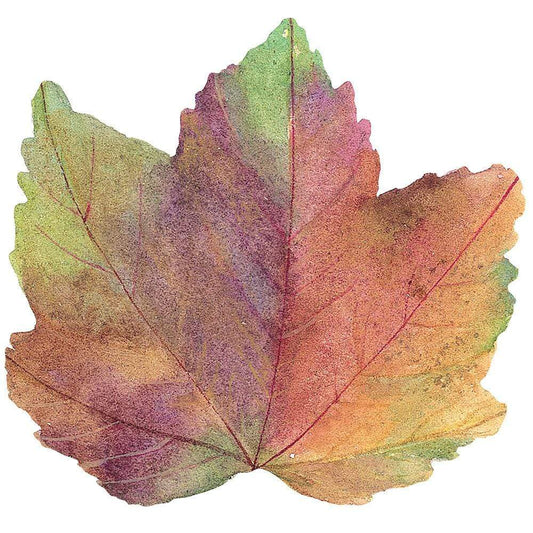 Autumn Leaf Die-Cut Placemat - 4 Each