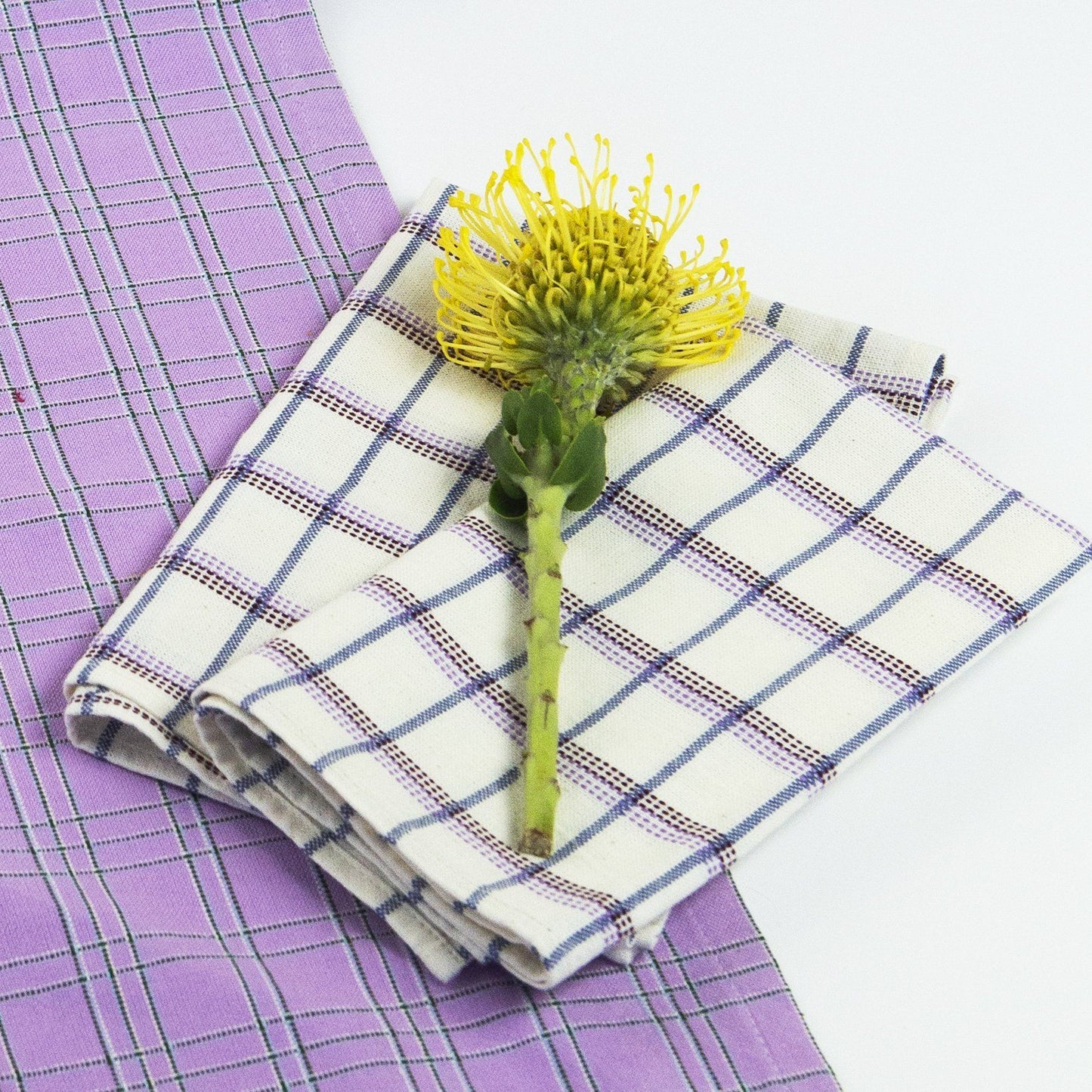Archive New York San Lucas Plaid White Napkin Archive New York